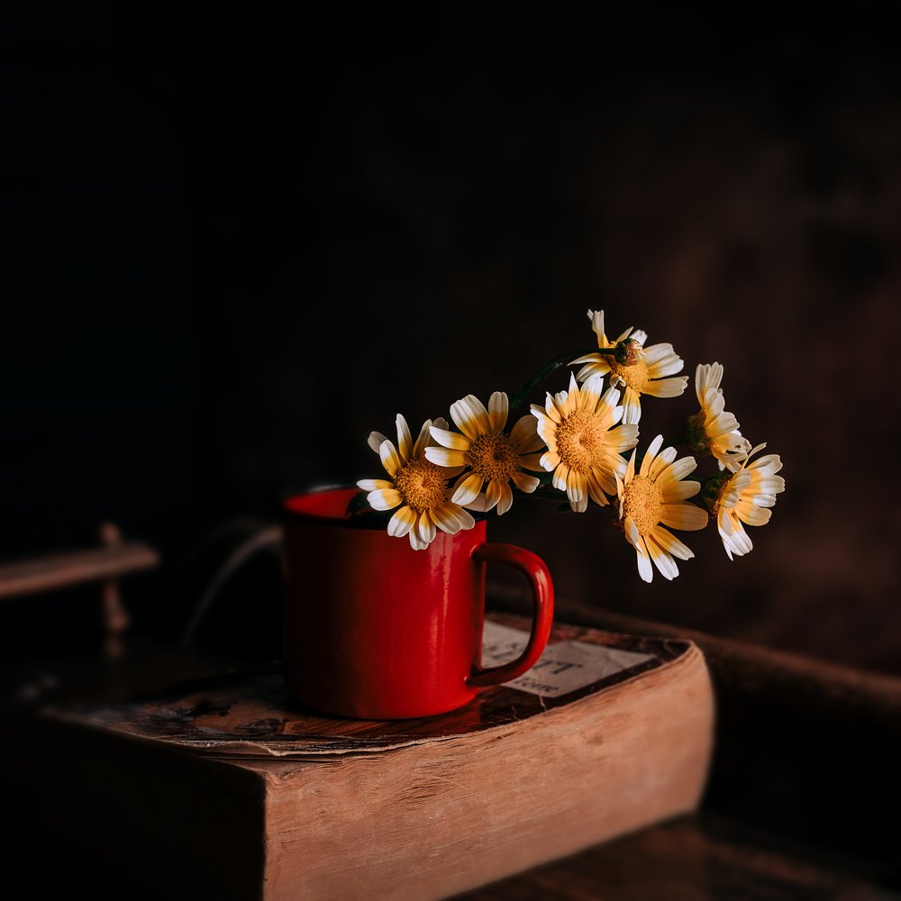 Photograph by Hai Yen Nguyen