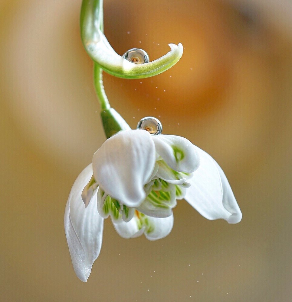 Photograph by Ольга Старикова