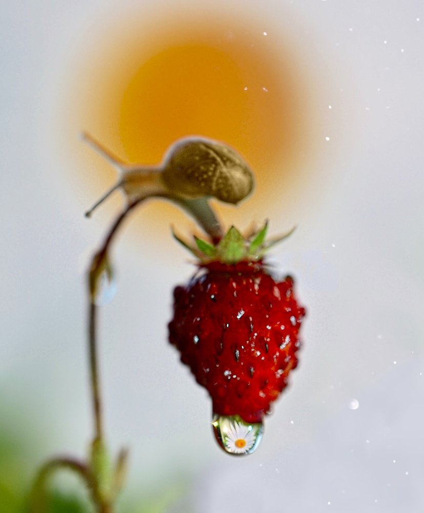 Photograph by Ольга Старикова