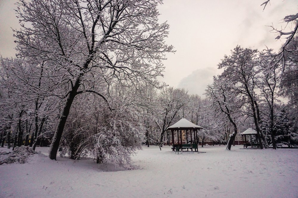 Photograph by Елена Никонова