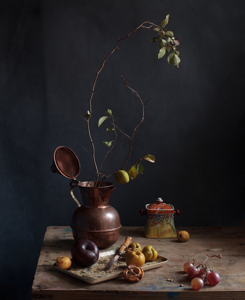 Photograph by marianna marina