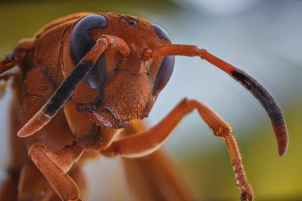 Photograph by Norberto Martínez