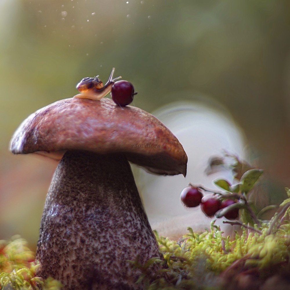 Photograph by Ольга Старикова