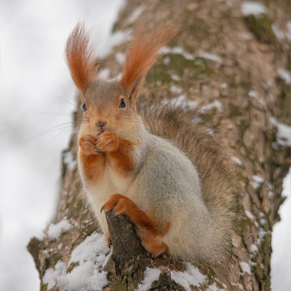 Photograph by Дмитрий Чудинин