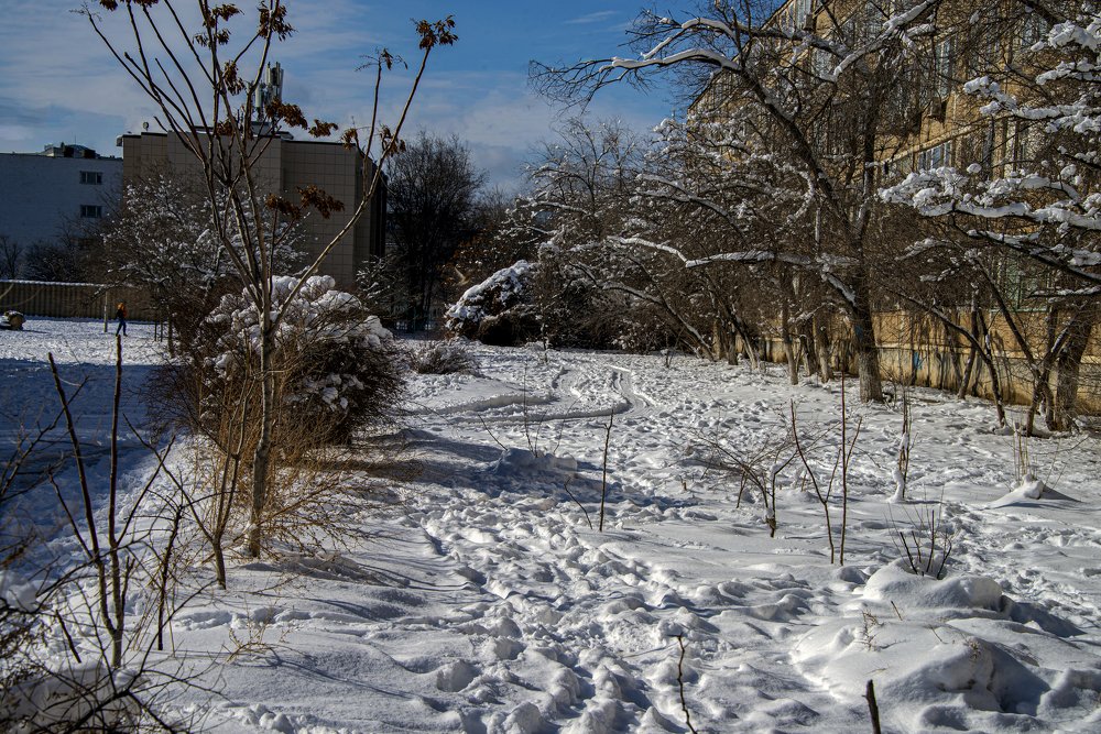 Photograph by Анатолий Чикчирный