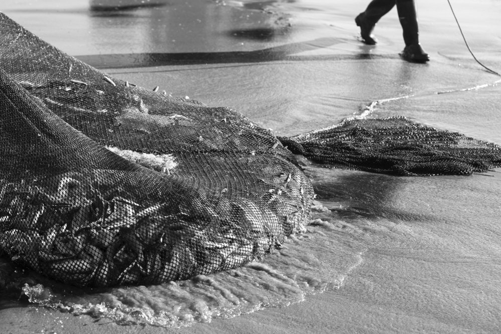 Photograph by Carlos Alberto Sequeira