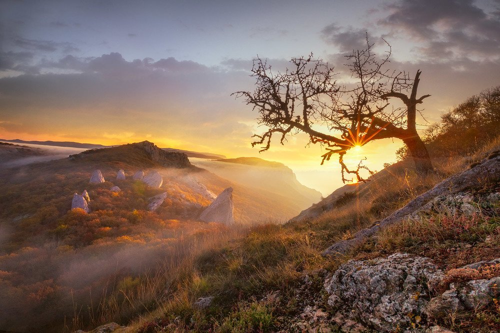 Ранним осенним утром...