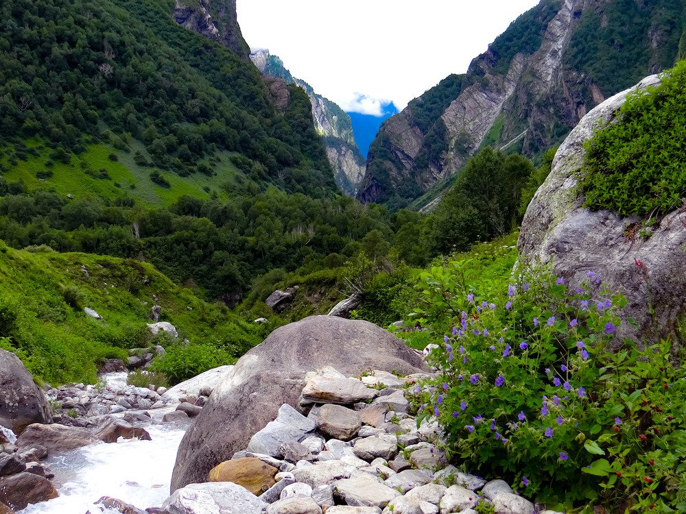 Photograph by RINI GHOSH