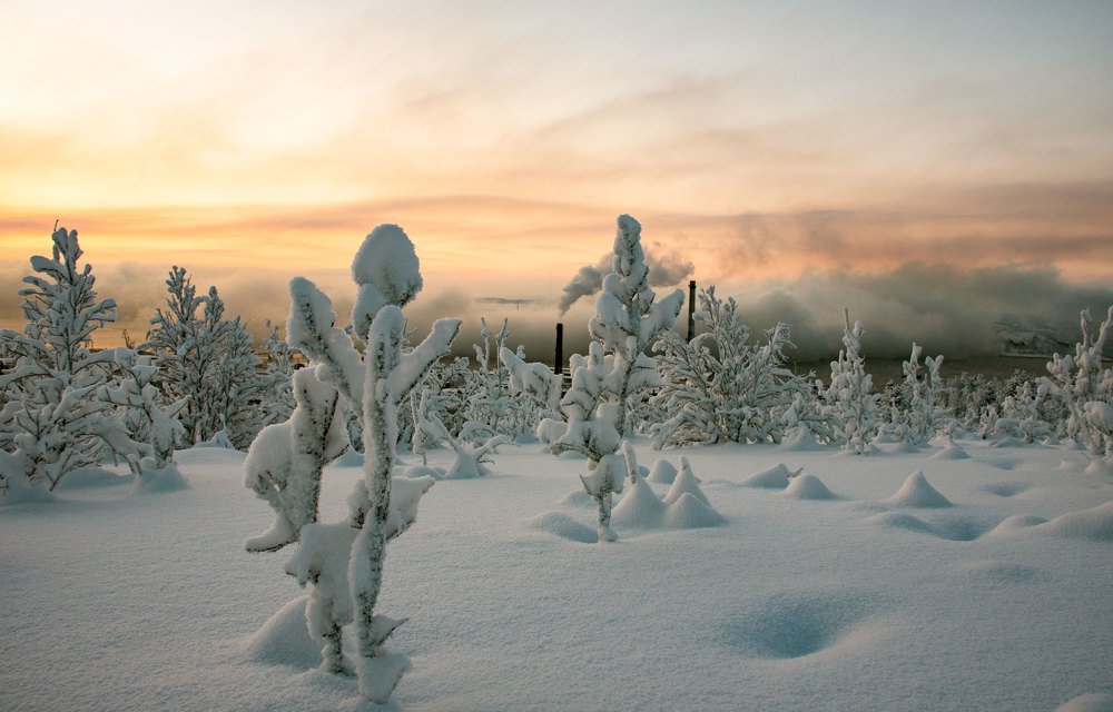 Парящий залив