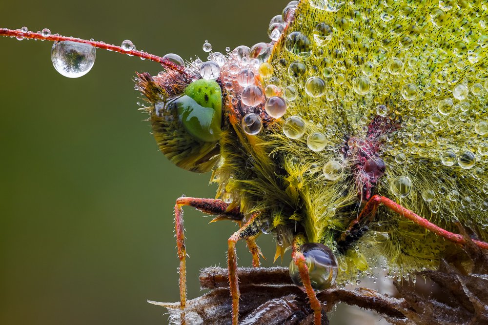 холодный душ