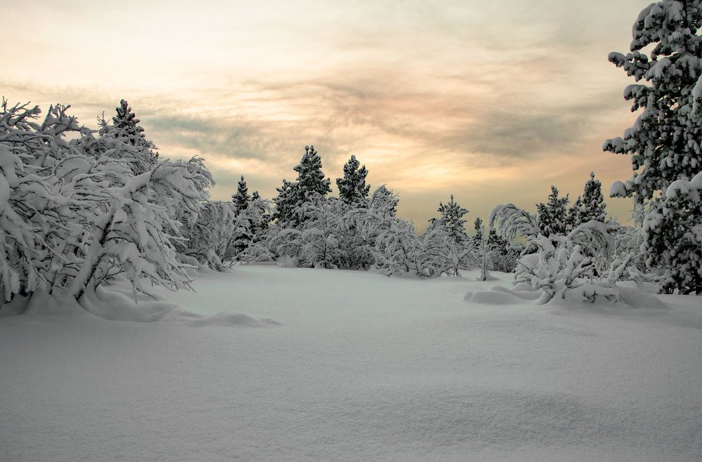 Зимний вечер в сопках