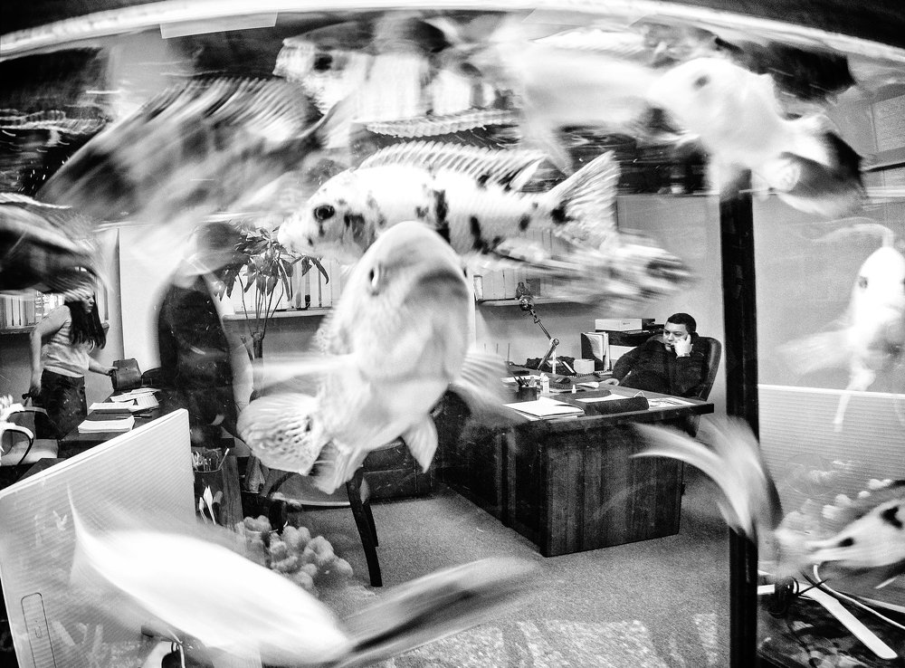 "Офисный планктон"