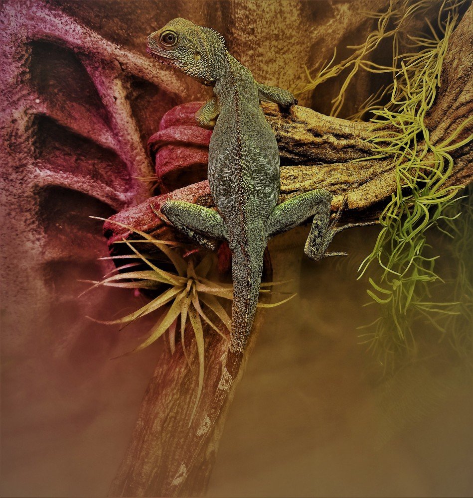 Photograph by Сергей Лобозов