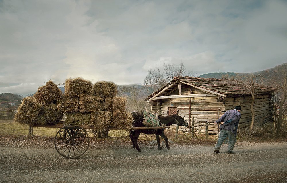 obstinate with each other