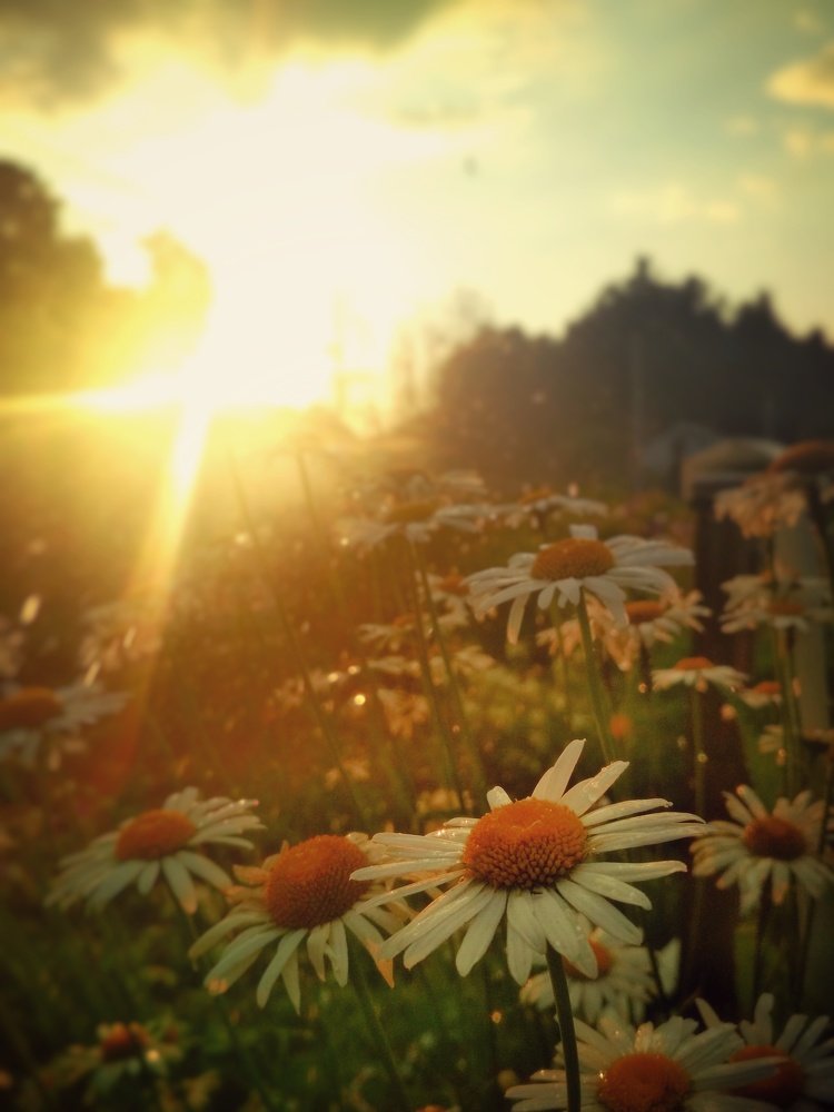 Photograph by Егор Савков