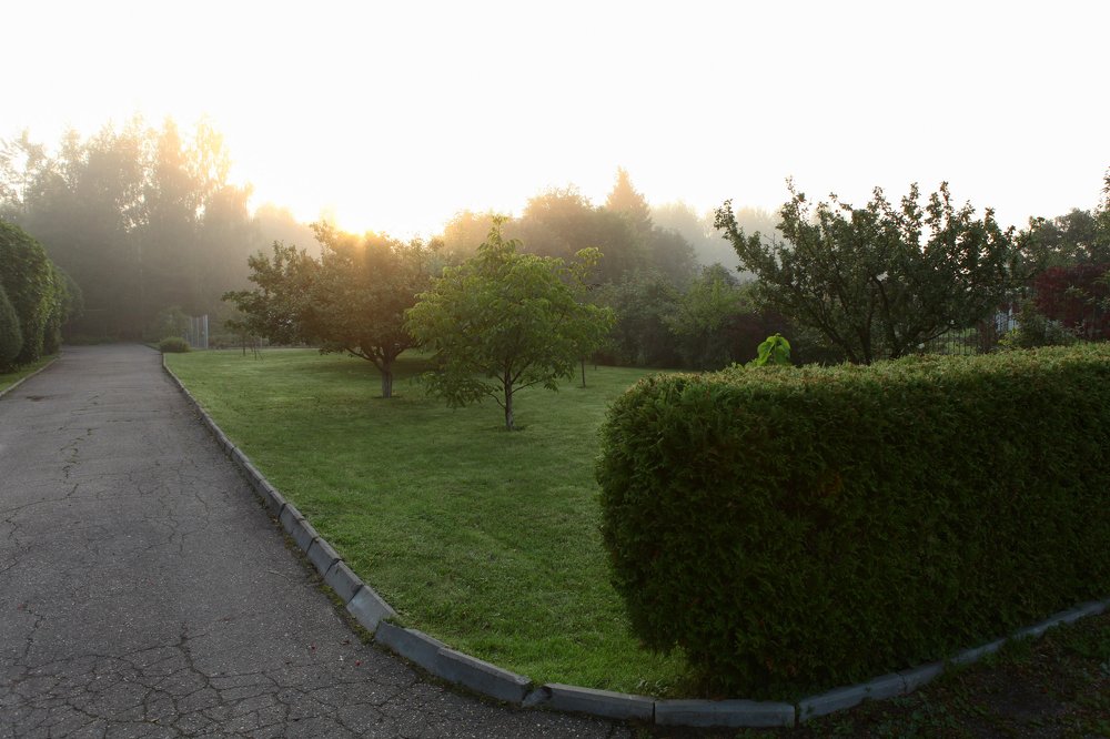 Август. Утро.