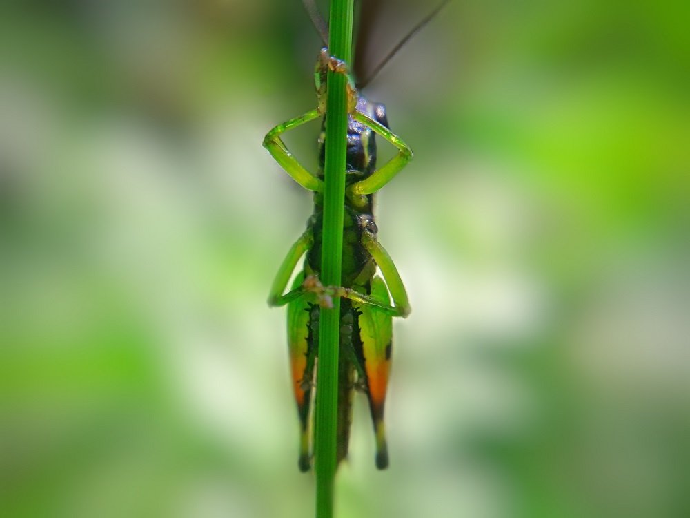 Photograph by Sudha Surendran