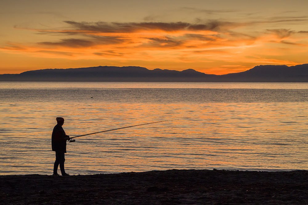 Photograph by Елена Покрепа