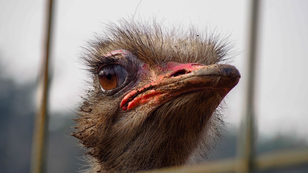 Photograph by Yana Marinova