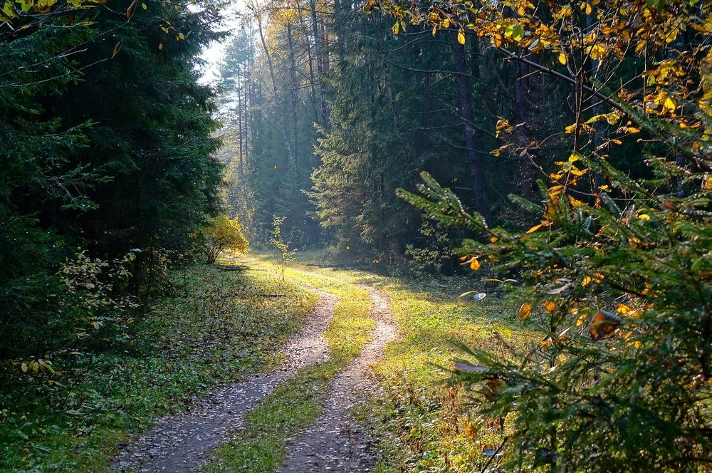 Фотография автора Valery Bel@kov