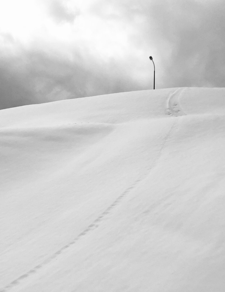 Photograph by Диана Нигматова