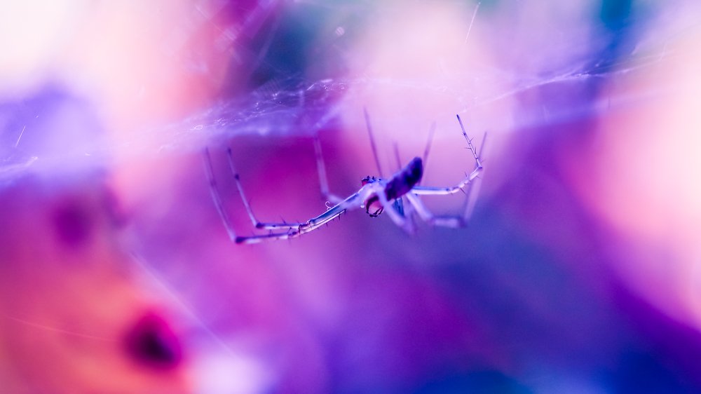 Photograph by Yana Marinova