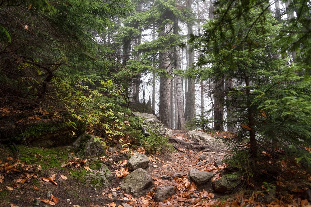 Фотография автора Дмитрий Санников