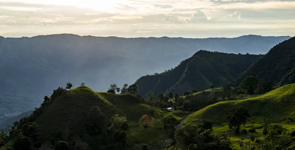 Photograph by carlos lopez