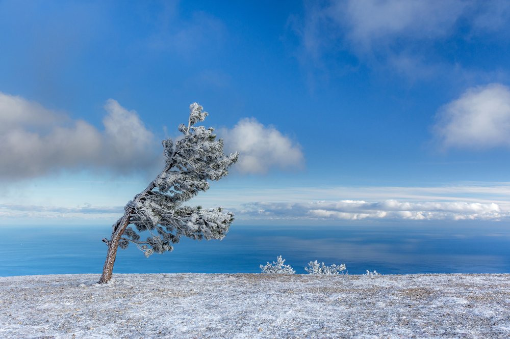 Photograph by Письменскова Анна