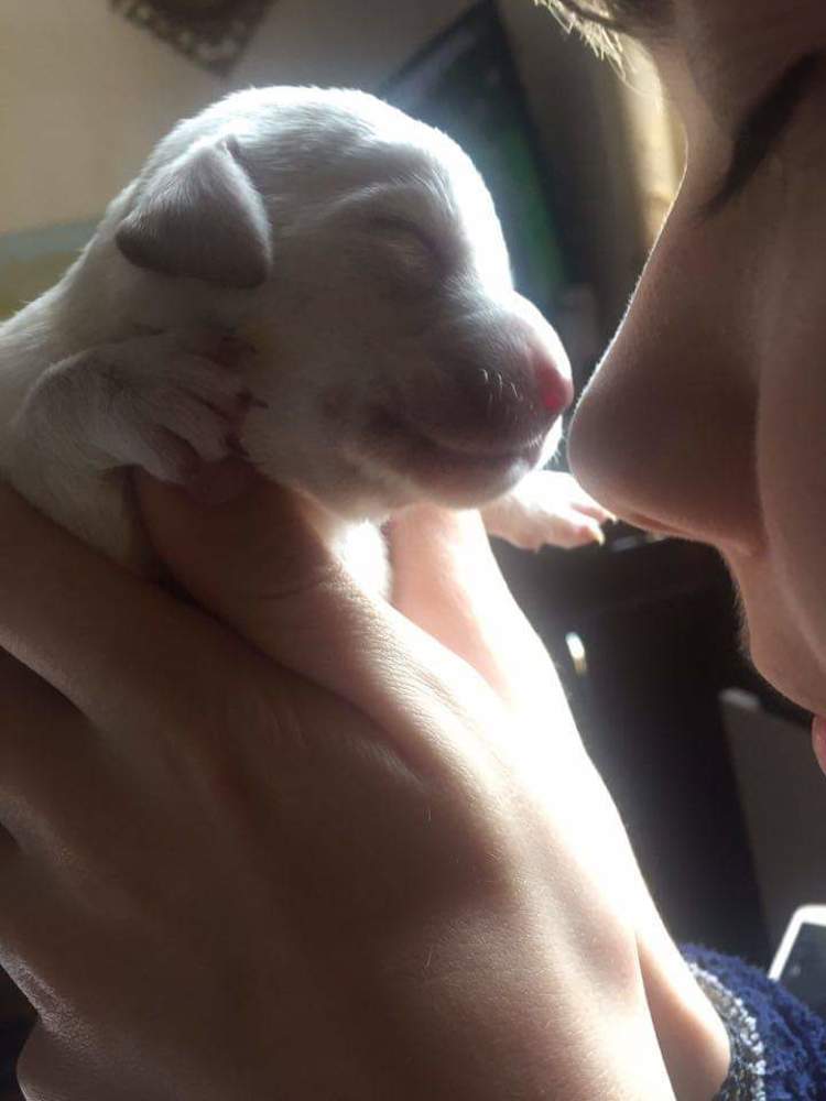 Photograph by Инга