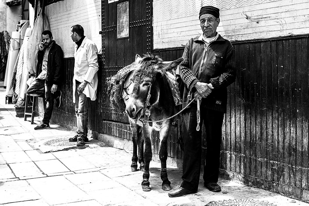 Старик и ослик