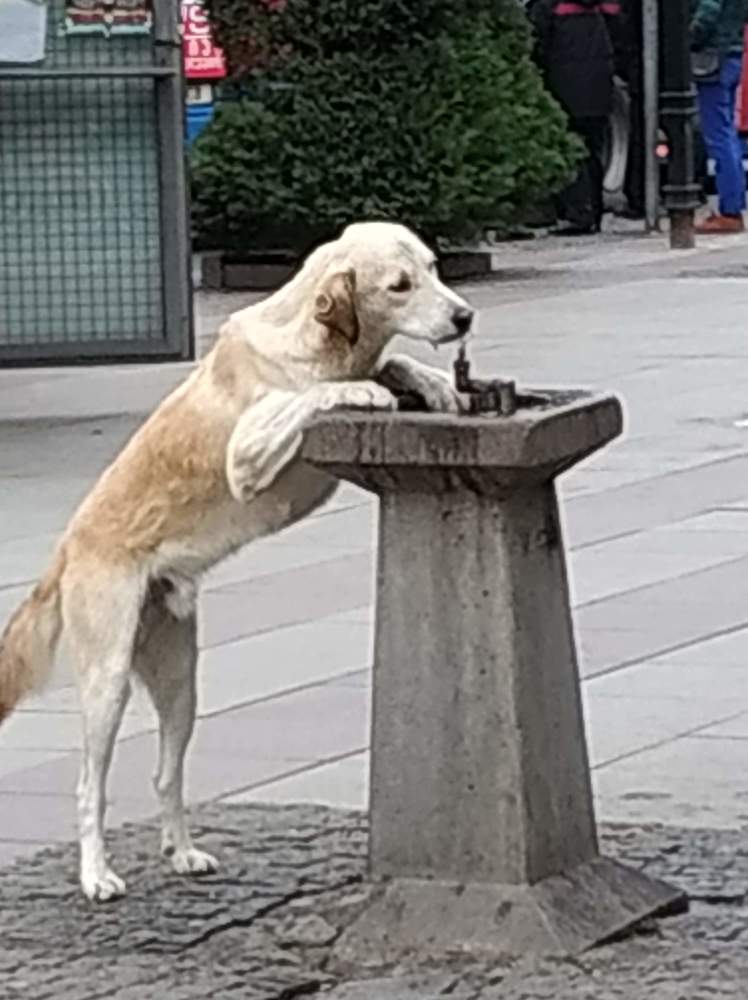 Photograph by Инга