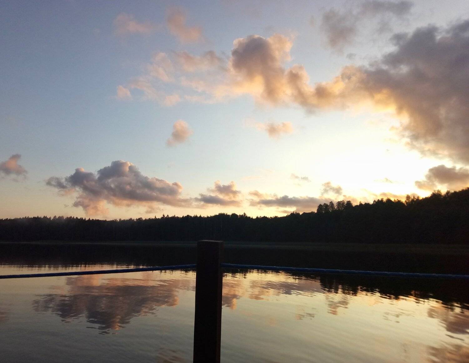 Photo #4355167