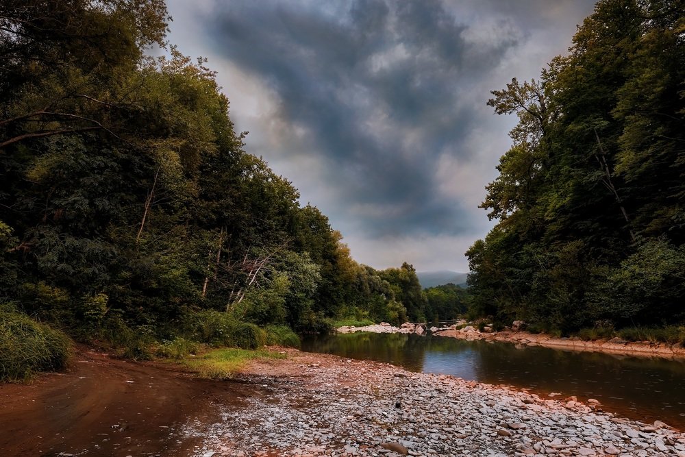 Предвестники непогоды.