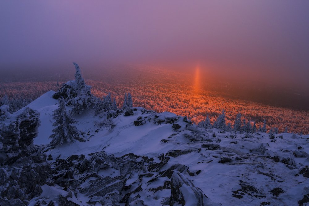 Луч света в царстве тьмы
