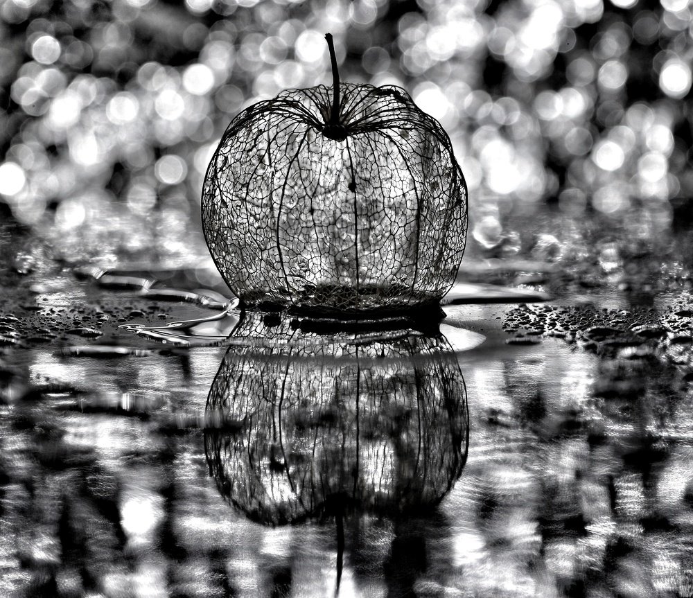 Photograph by Михаил Логвиненко