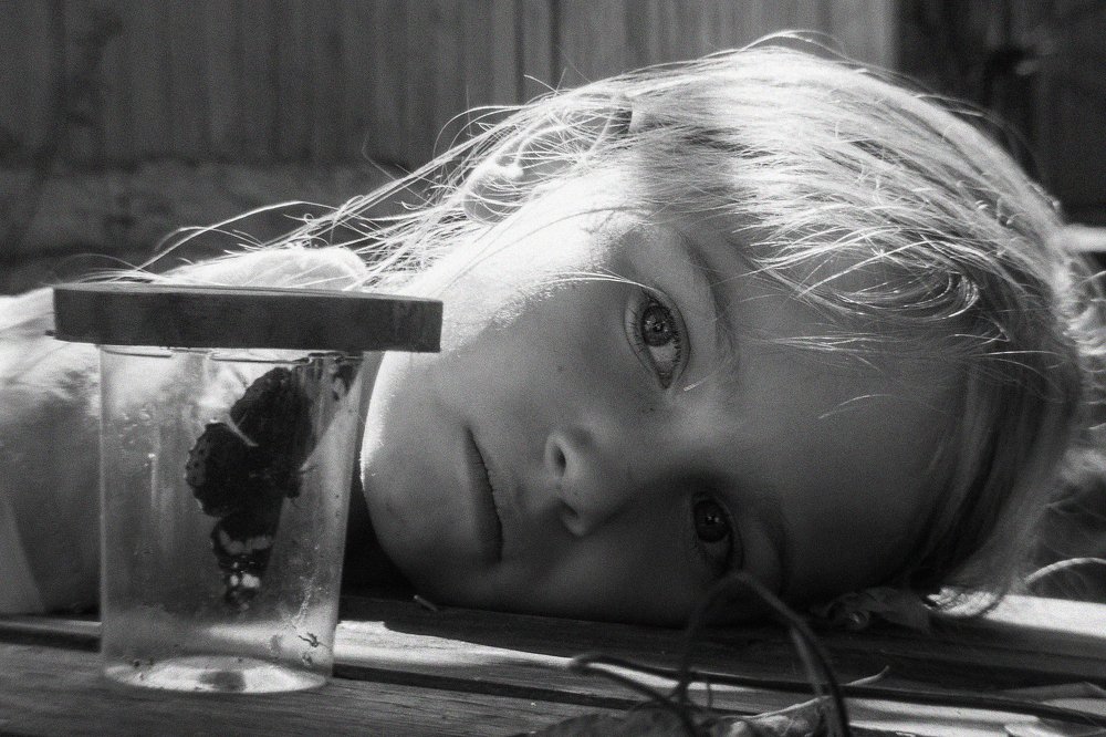 Последнее лето Детства