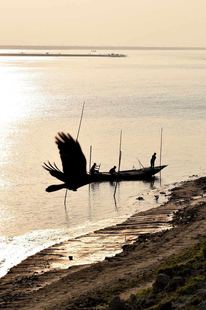 Photograph by Ha-Mim Brinto Syed Asir