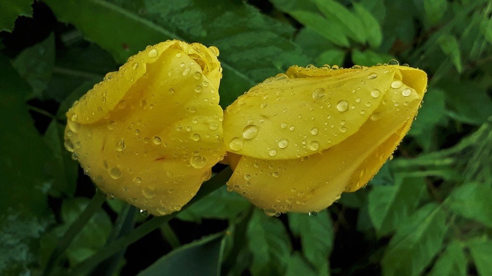 Photograph by Mirela Velicu