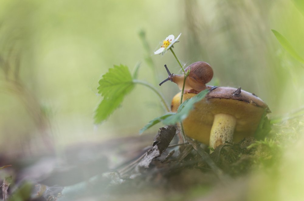 Photograph by Людмила Гудина