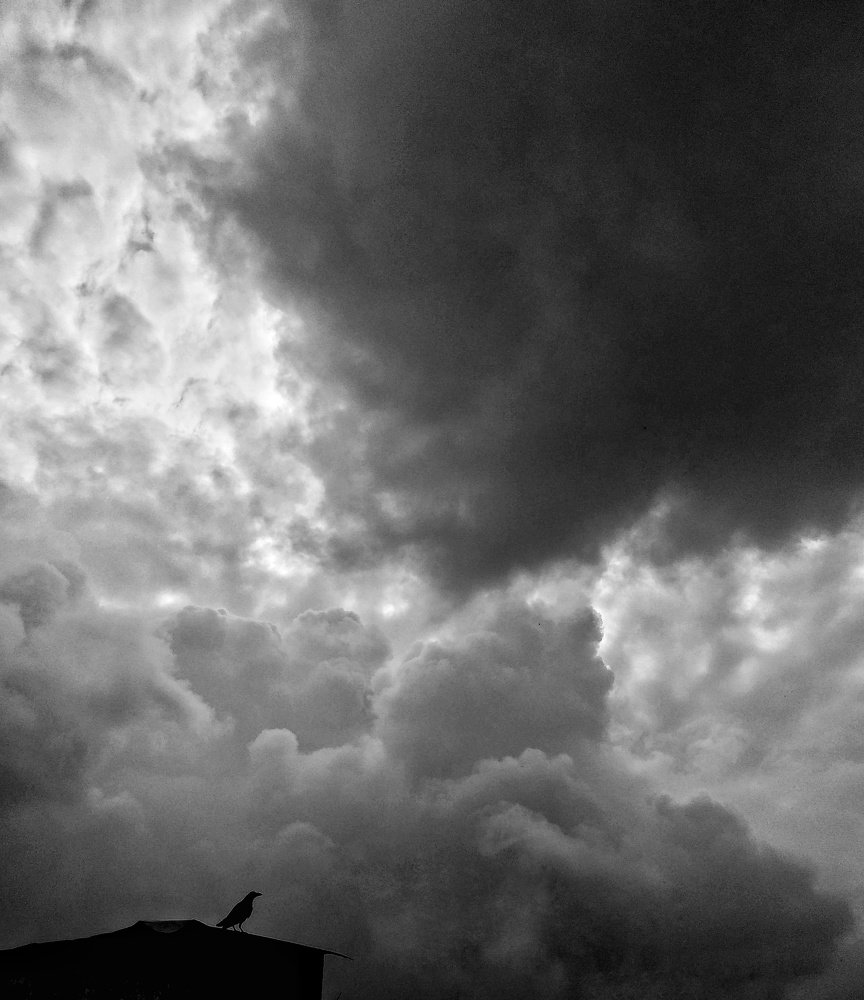 Фотография автора Varshithaa Govardan