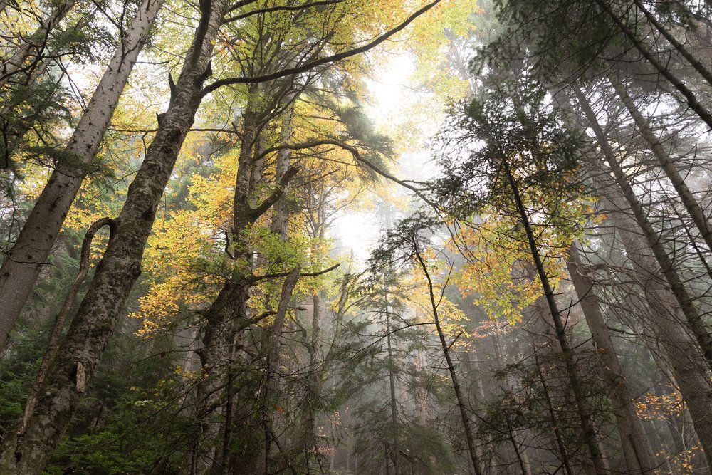 Фотография автора Дмитрий Санников
