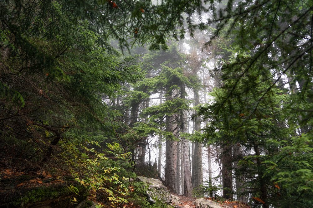 Фотография автора Дмитрий Санников
