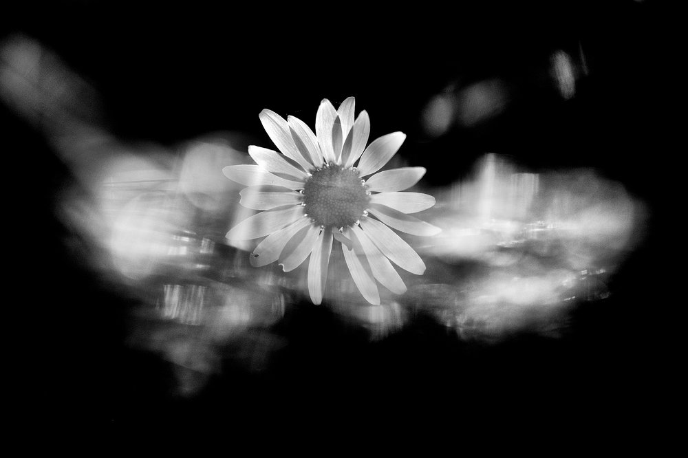 Photograph by Александр Иванов