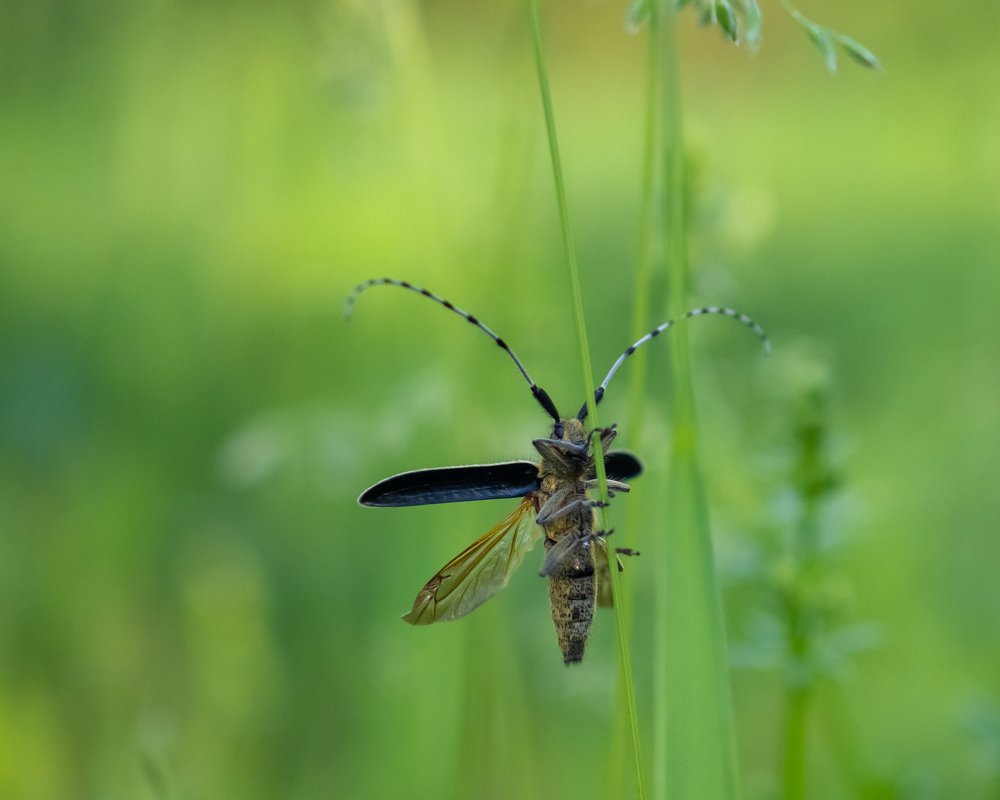 Photograph by Photons Reflectitur