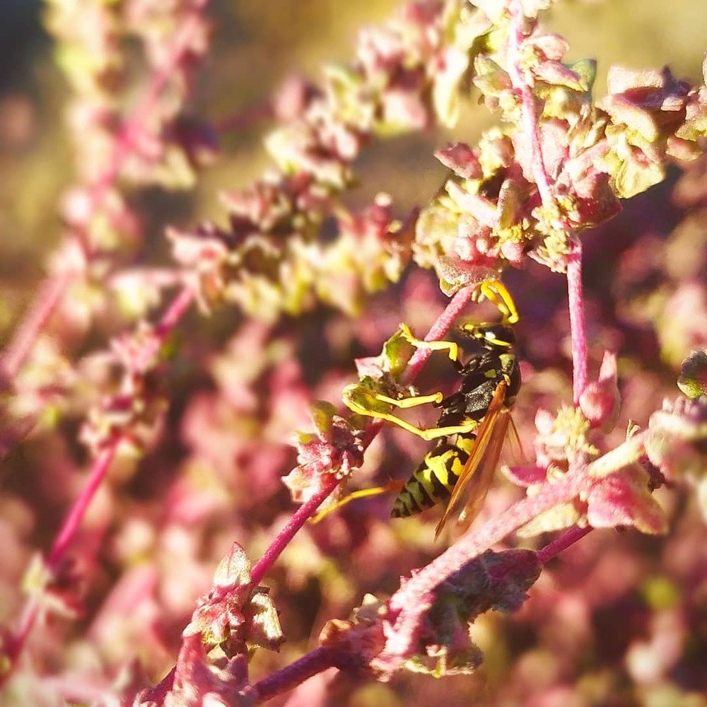 Маленькая жизнь