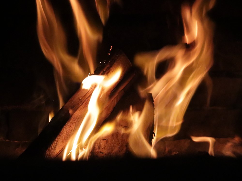 Photograph by Fernanda Martins