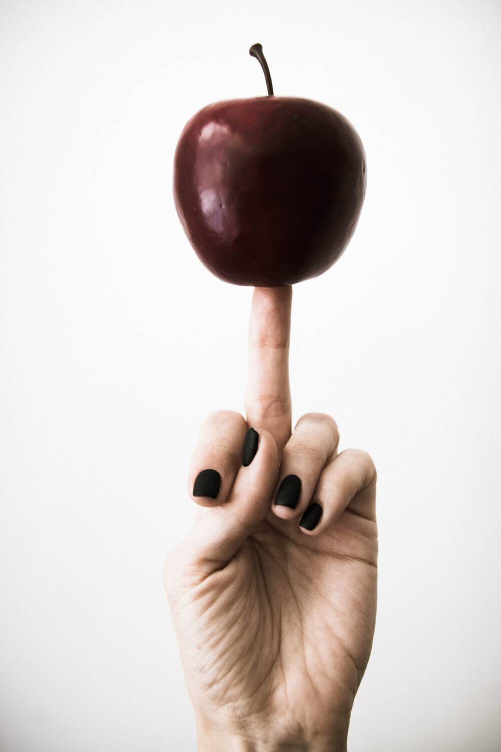 Photo #4355652