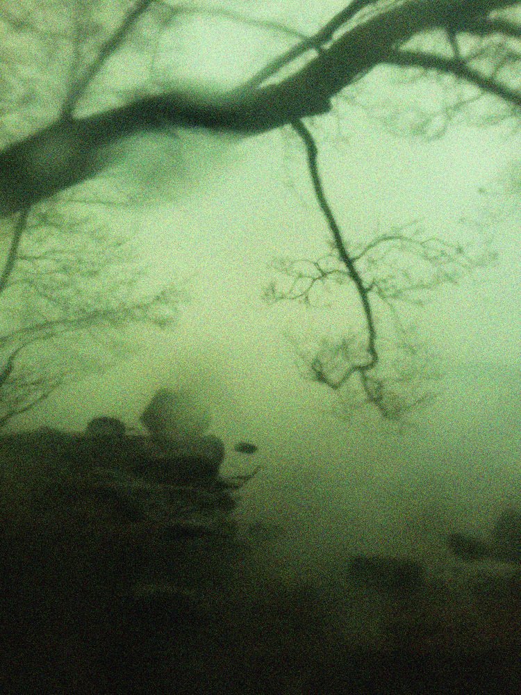 Photograph by Анастасия Сушинская