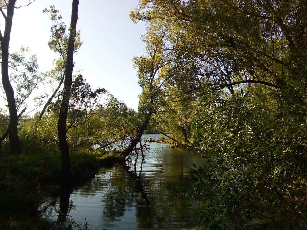 Photograph by Екатерина Бирюкова